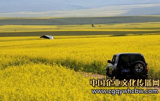 出臺房車露營地產(chǎn)業(yè)相關(guān)政策7.JPG