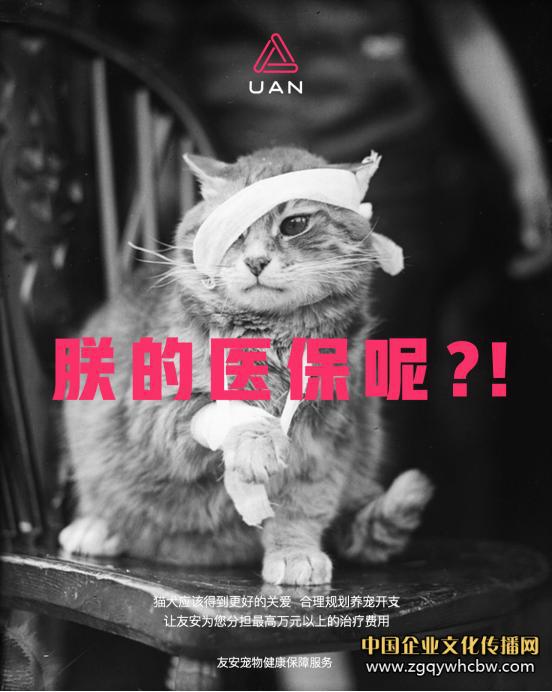 焦點圖.JPG